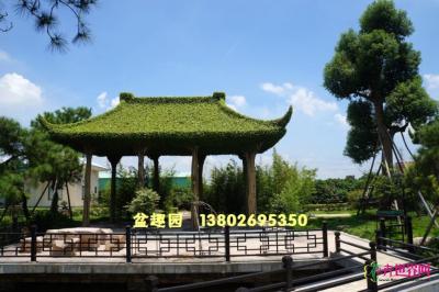 艺术树亭